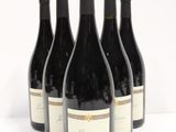 six bottles of red wine are lined up on a white surface