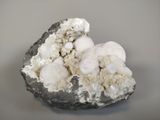 an image of a piece of rock with some white stuff on it