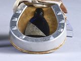a horse shoe with a bottle in the middle of it