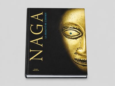 la couverture d'un livre sur laquelle figure un visage doré