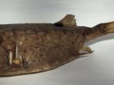 un poisson mort posé sur une table