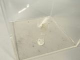 a clear box with a small object inside of it