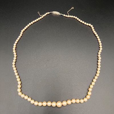 un collier de perles blanches avec un fermoir en or