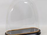un dôme en verre transparent reposant sur un socle en bois, sur fond blanc