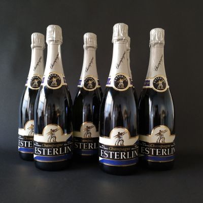 Six btles CHAMPAGNE brut blanc de blanc, Esterlin. - Photo 1