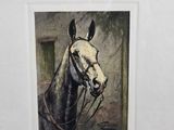 a picture of a horse with a bridle on it ' s head
