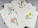 six cartes ornées de fleurs à l'aquarelle, empilées les unes sur les autres