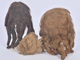 Trois types de perruques différents sont présentés sur un fond blanc