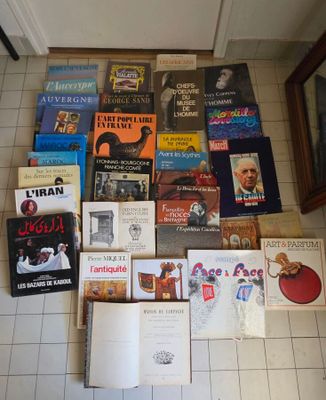 un grand nombre de livres posés sur le sol
