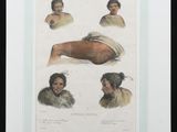 an image of a drawing of a woman ' s head and shoulders