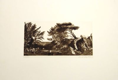 une photo en noir et blanc d'un arbre dans un champ