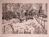 drawing of a black and white picture of a park with ducks