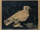 painting of a white pigeon on a black background with a blue background