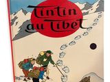 the cover of a book with a picture of a man and a woman on skis