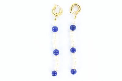 une paire de boucles d'oreilles en perles bleues et blanches sur fond blanc