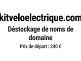 Photo 1/1 du lot