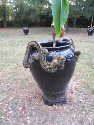 un vase noir contenant une plante, posé dans l'herbe