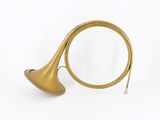 an image of a brass trumpet with a long horn on a white background
