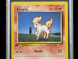 an image of a pokemon card with a picture of a pony