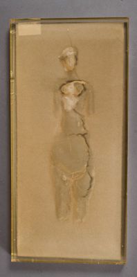 Une vieille photo d'une femme en maillot de bain est exposée dans un cadre doré