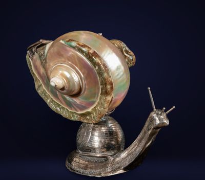 an image of a snail with a shell on it ' s back