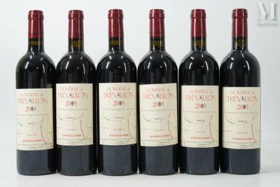 six bouteilles de vin rouge alignées sur une surface blanche