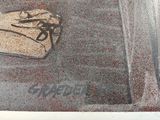 a picture of a pair of shoes on the ground