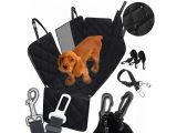 a dog that is sitting in the back of a car seat