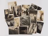 plusieurs vieilles photographies en noir et blanc représentant des personnes et des animaux