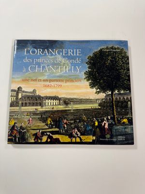 the front cover of a book with a painting of a palace