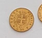 two pieces of gold coins with a coat of arms on them