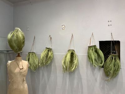 de nombreux types de cheveux accrochés au mur