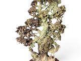statue of a bonsai tree on a wooden base on a white background