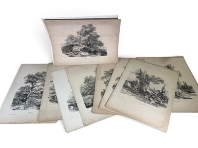 five old books with drawings of trees on them on a white surface