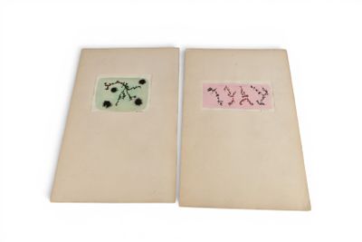 deux livres ouverts sur une surface blanche