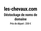Photo 1/1 du lot