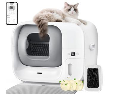 une image représentant un chat assis sur un bac à litière