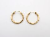 a pair of gold hoop earrings on a white background