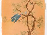 deux oiseaux perchés sur les branches d'un arbre