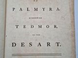 the ruins of palmyra by ted morr and the desert