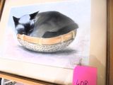 a picture of a cat that is sleeping in a basket