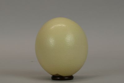 a white egg sitting on top of a wooden stand