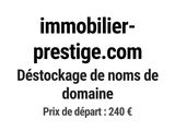 Photo 1/1 du lot