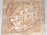 un gros plan d'une assiette dorée sur laquelle figure une tortue