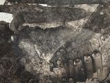une photo en noir et blanc d'un morceau de bois brûlé