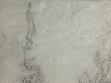 drawing of a border of flowers and vines on a piece of paper