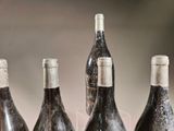 several bottles of wine are lined up on a table