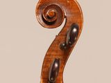 a close up of the back of a violin