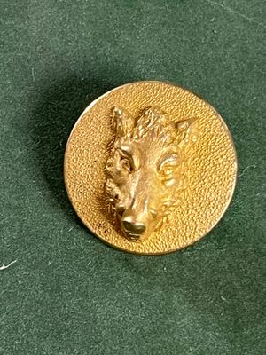 un bouton de couleur dorée orné d'une tête de lion