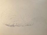 a drawing of a cat that is laying down on the floor
